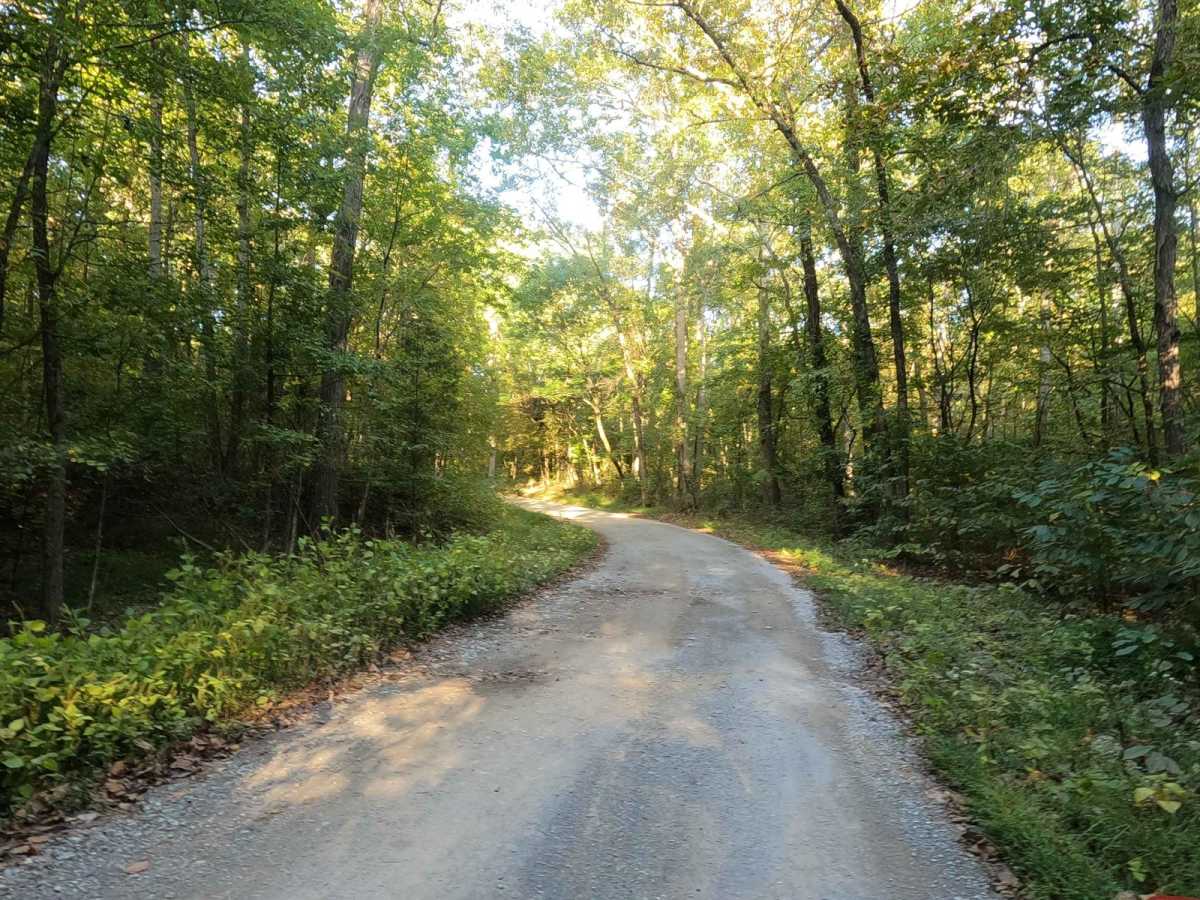 Redd Hollow Road - FS 171 photo 6