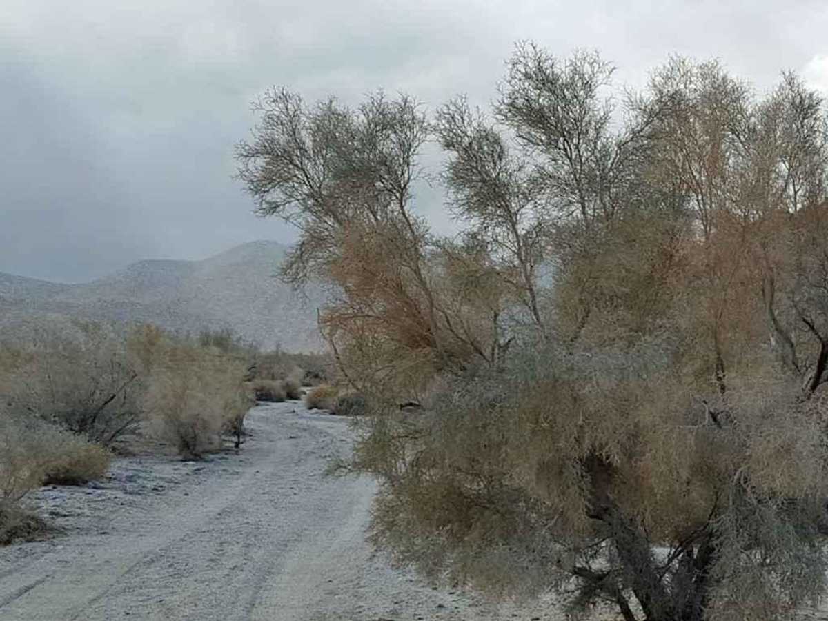 Mine Wash photo 6
