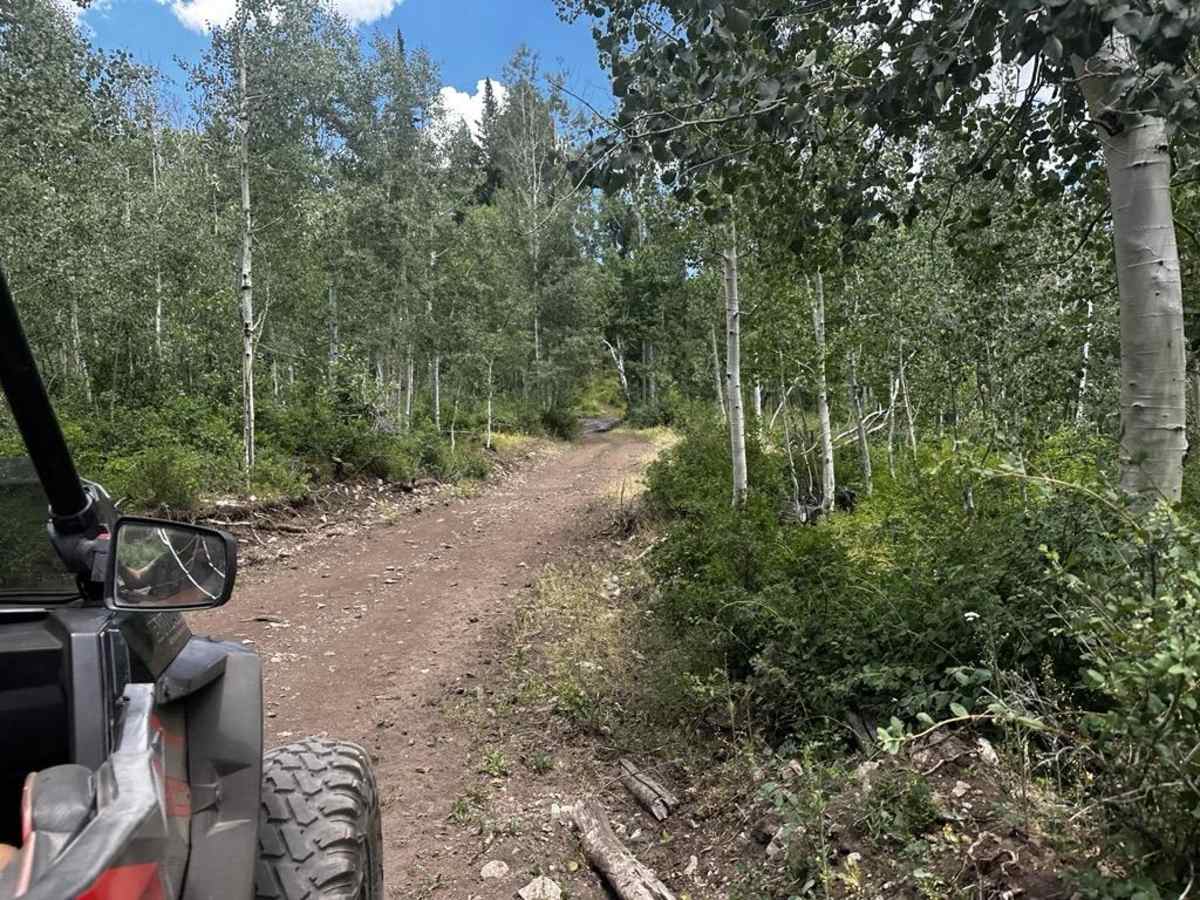 Trail 55255 to 55258 photo 4