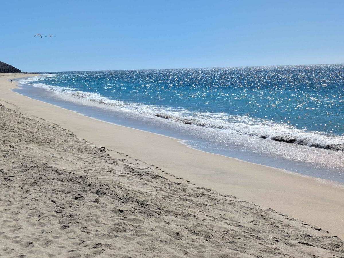 Playa Bonita trail photo