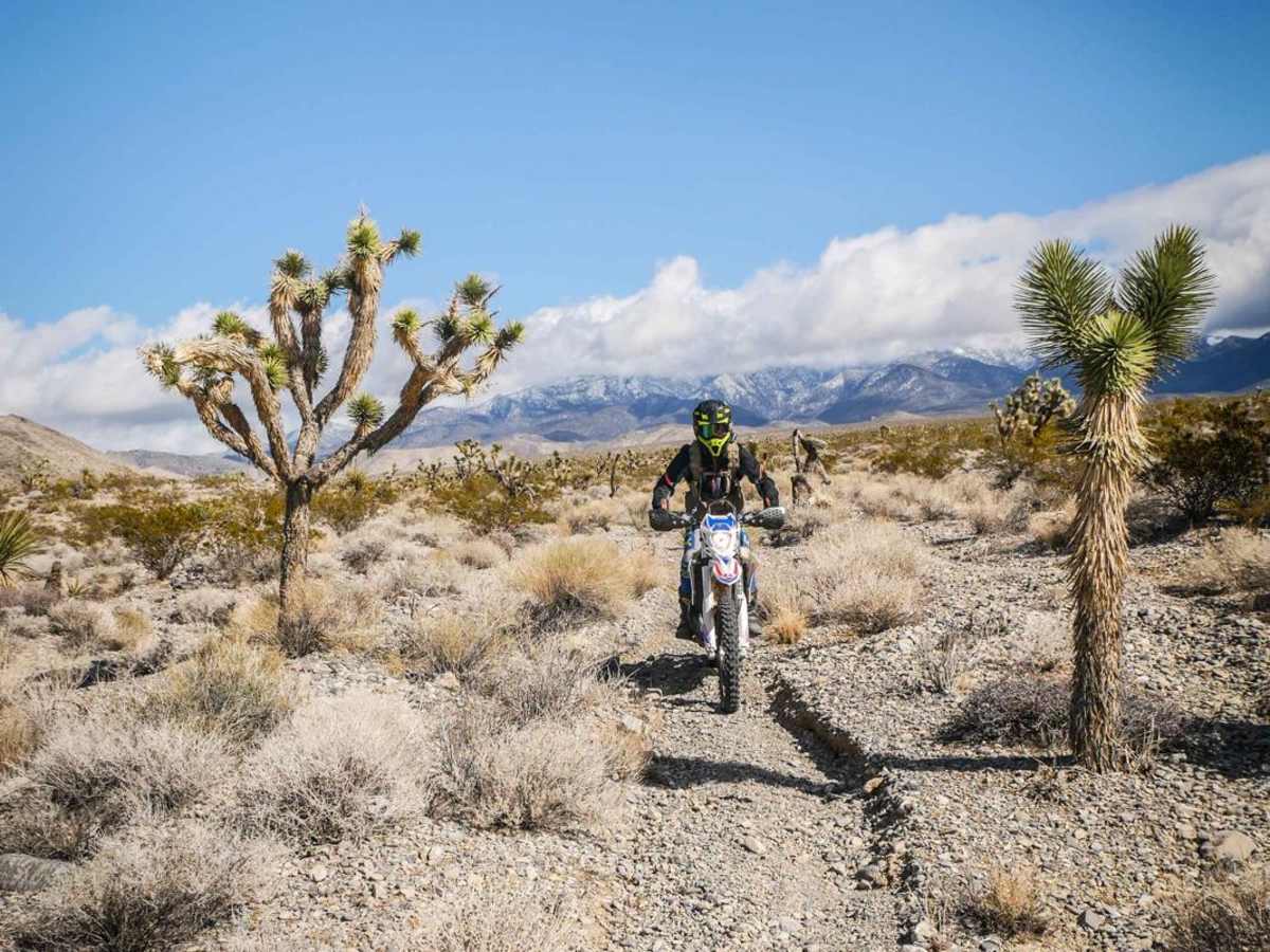 Cactus Trail trail photo