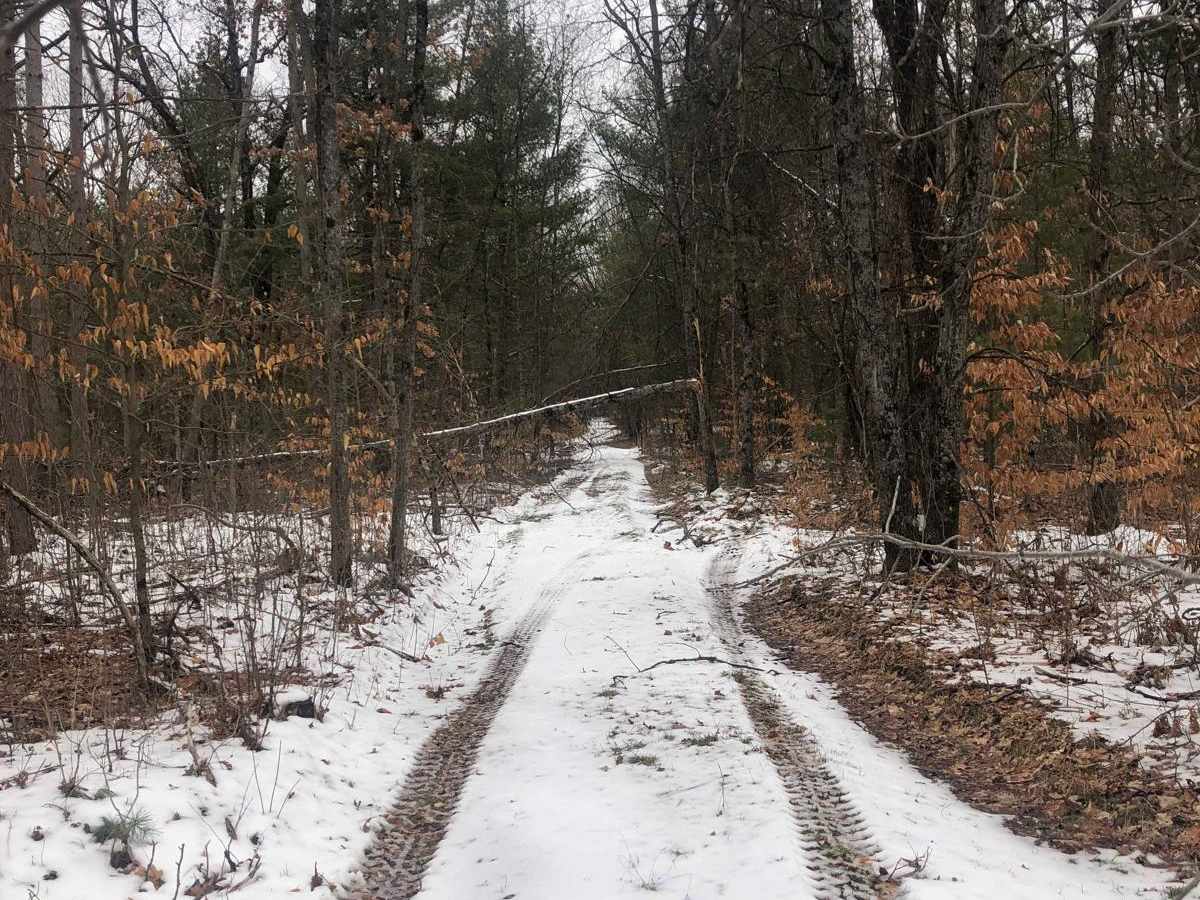 NFS Road 5235 photo 2