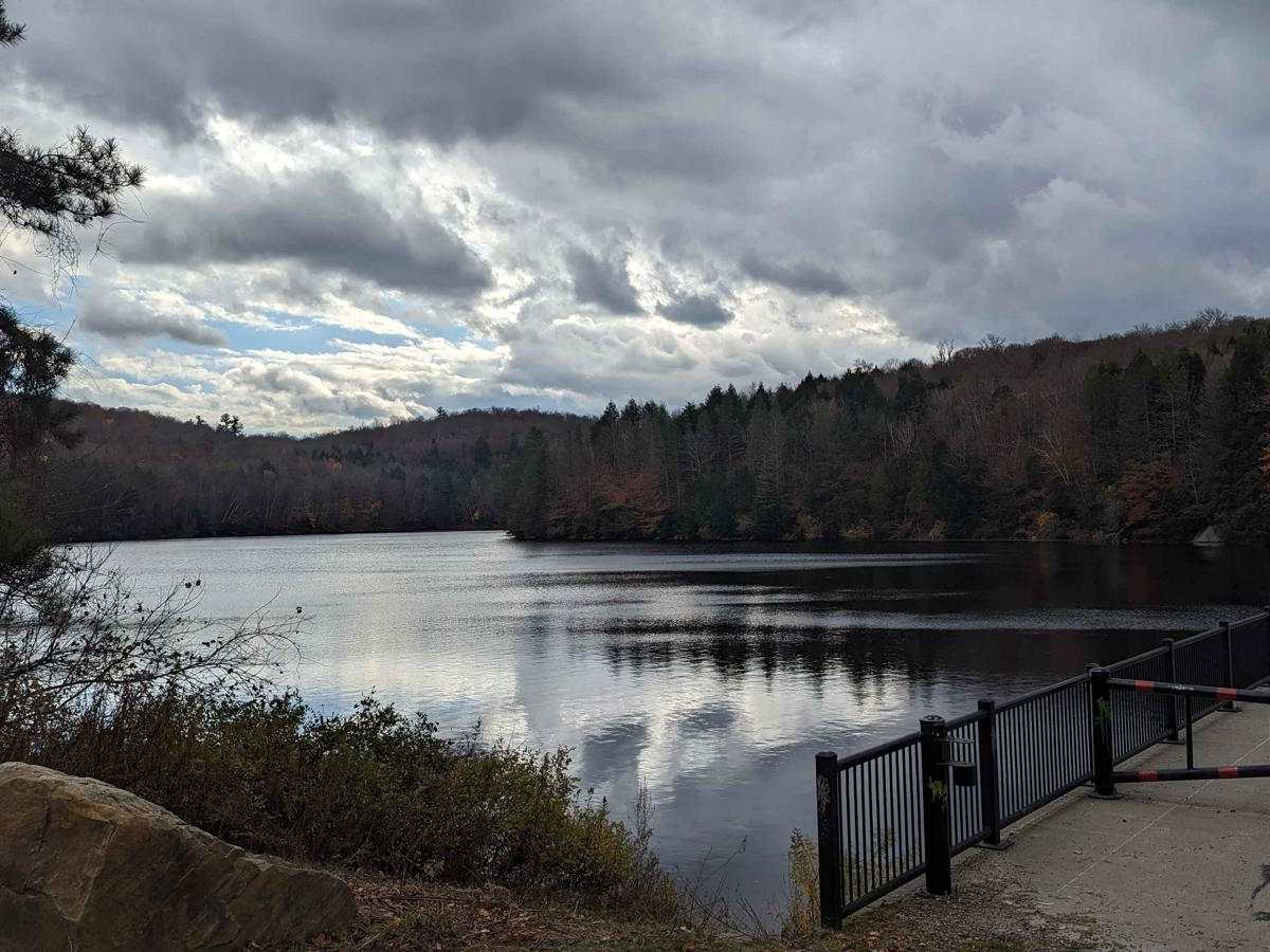 Whitney Place to New Lenox Road trail photo