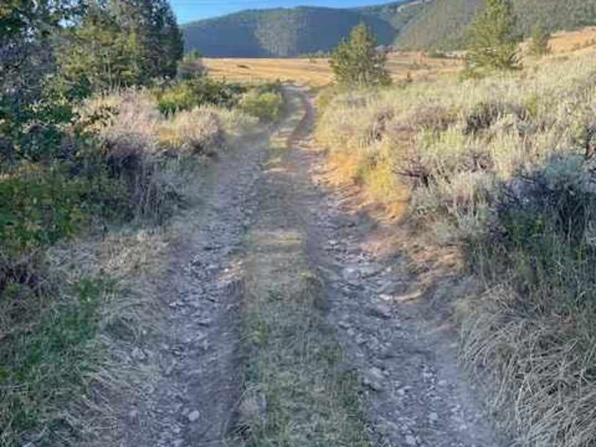 Powerline Road photo 3