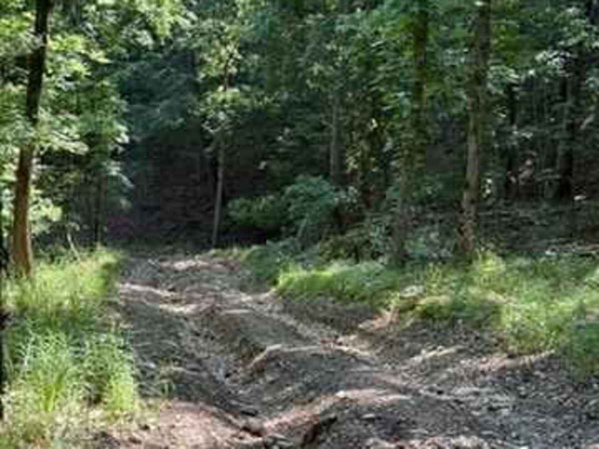 Blake's Trail 2.0 photo 3