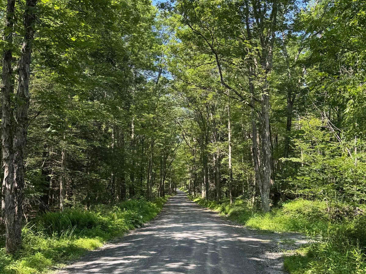 Rogue Harbor Road photo 6