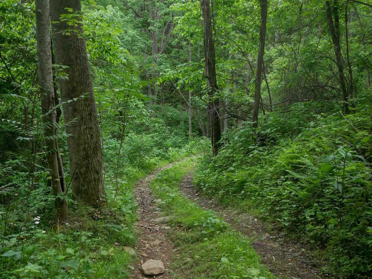 MV73 photo 3
