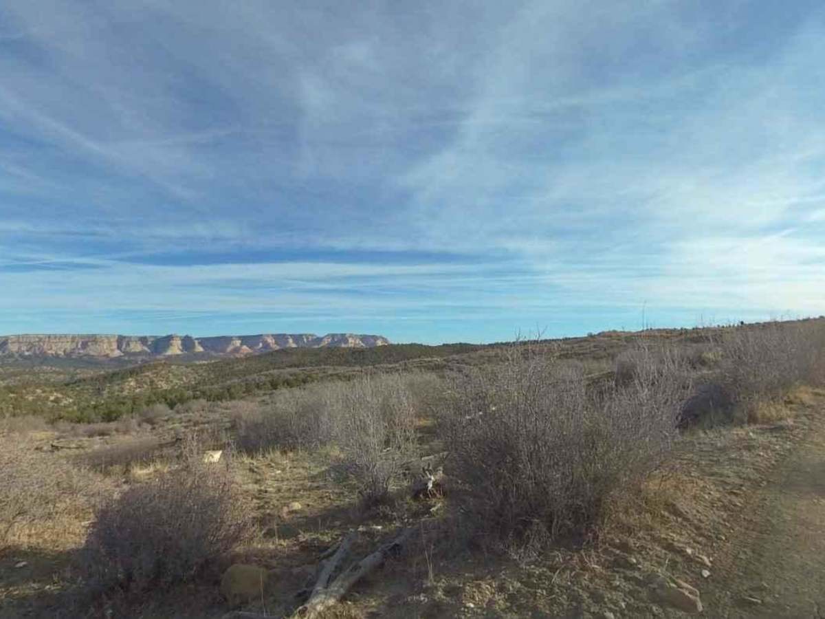Trail Canyon photo 4
