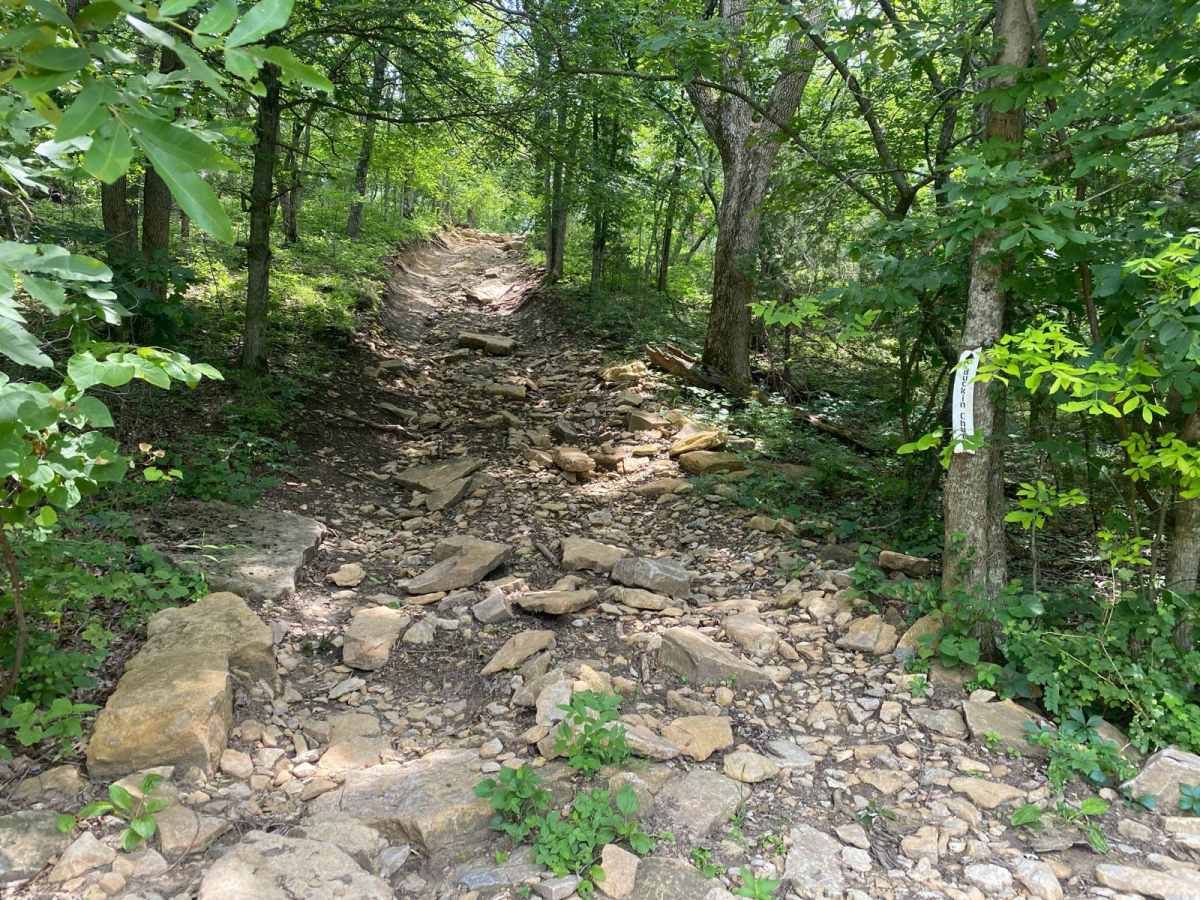 Buckin Chute trail photo