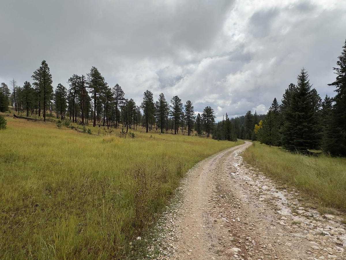 Boles Canyon photo 3