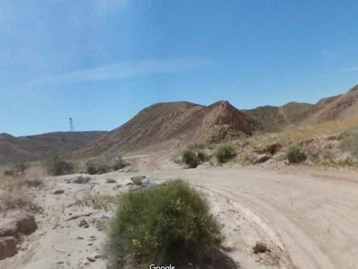 South Fork Palm Wash photo 6