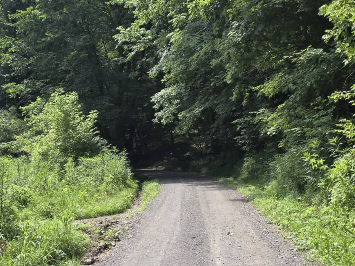 Dry Branch to Dixon Creek Road - Macon County Tour photo 2