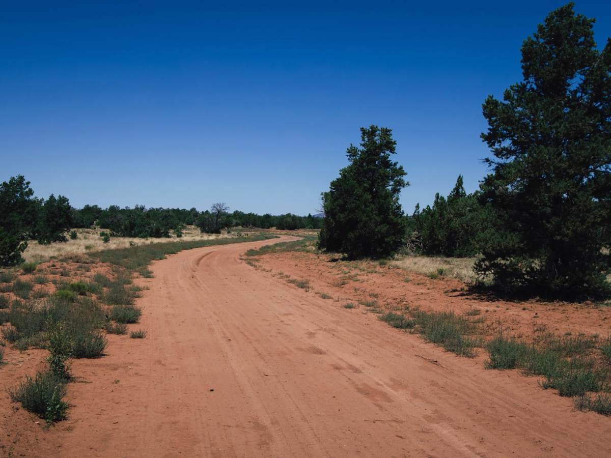 Wild Bill 7 photo 4