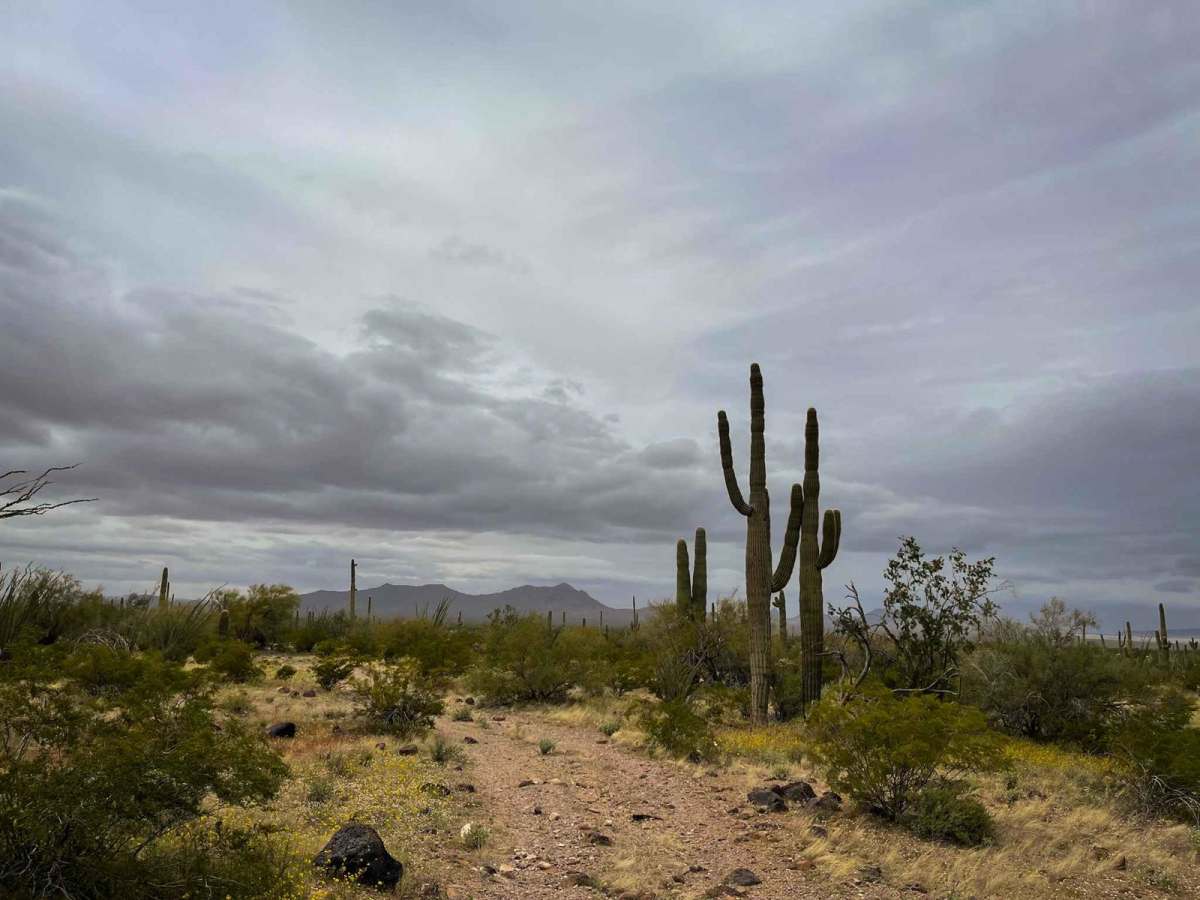 8107 Trail photo 2