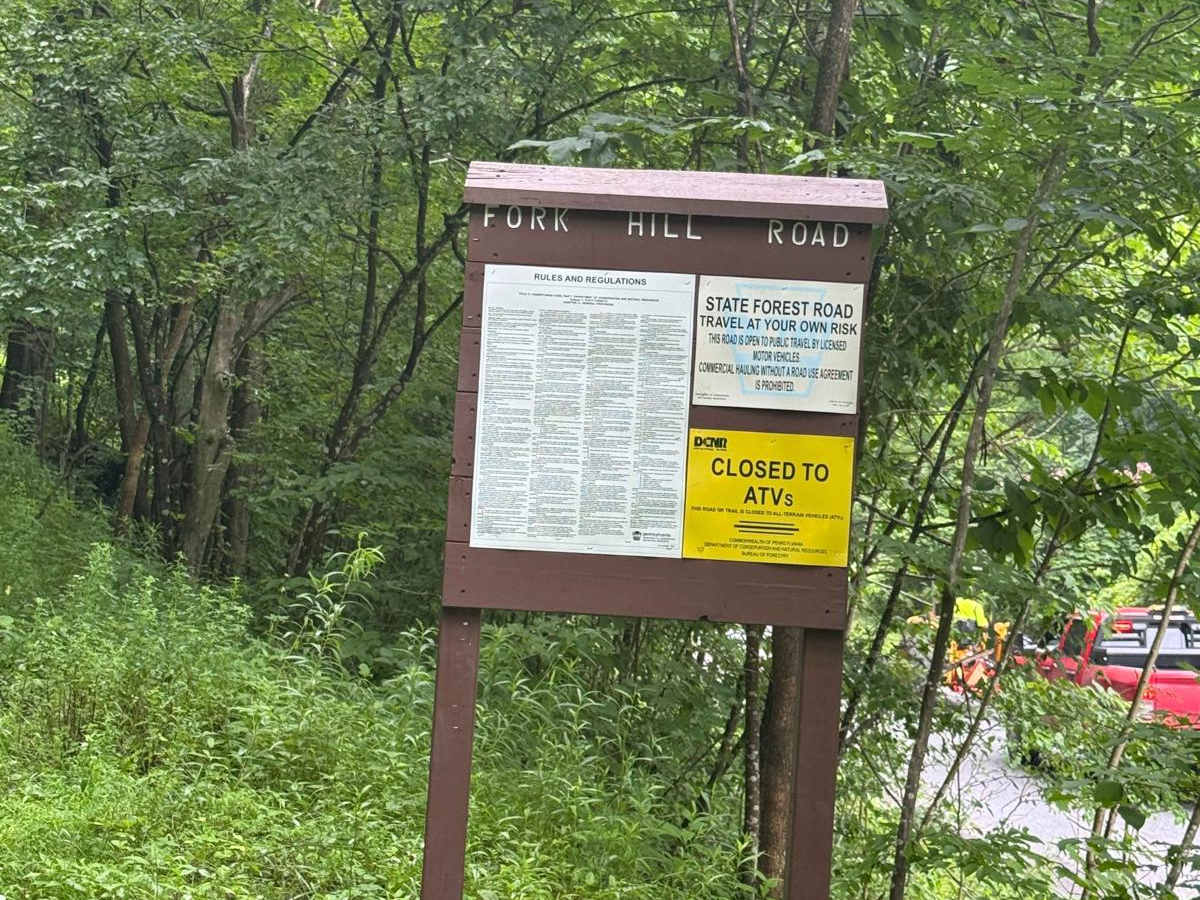 Fork Hill Road trail photo