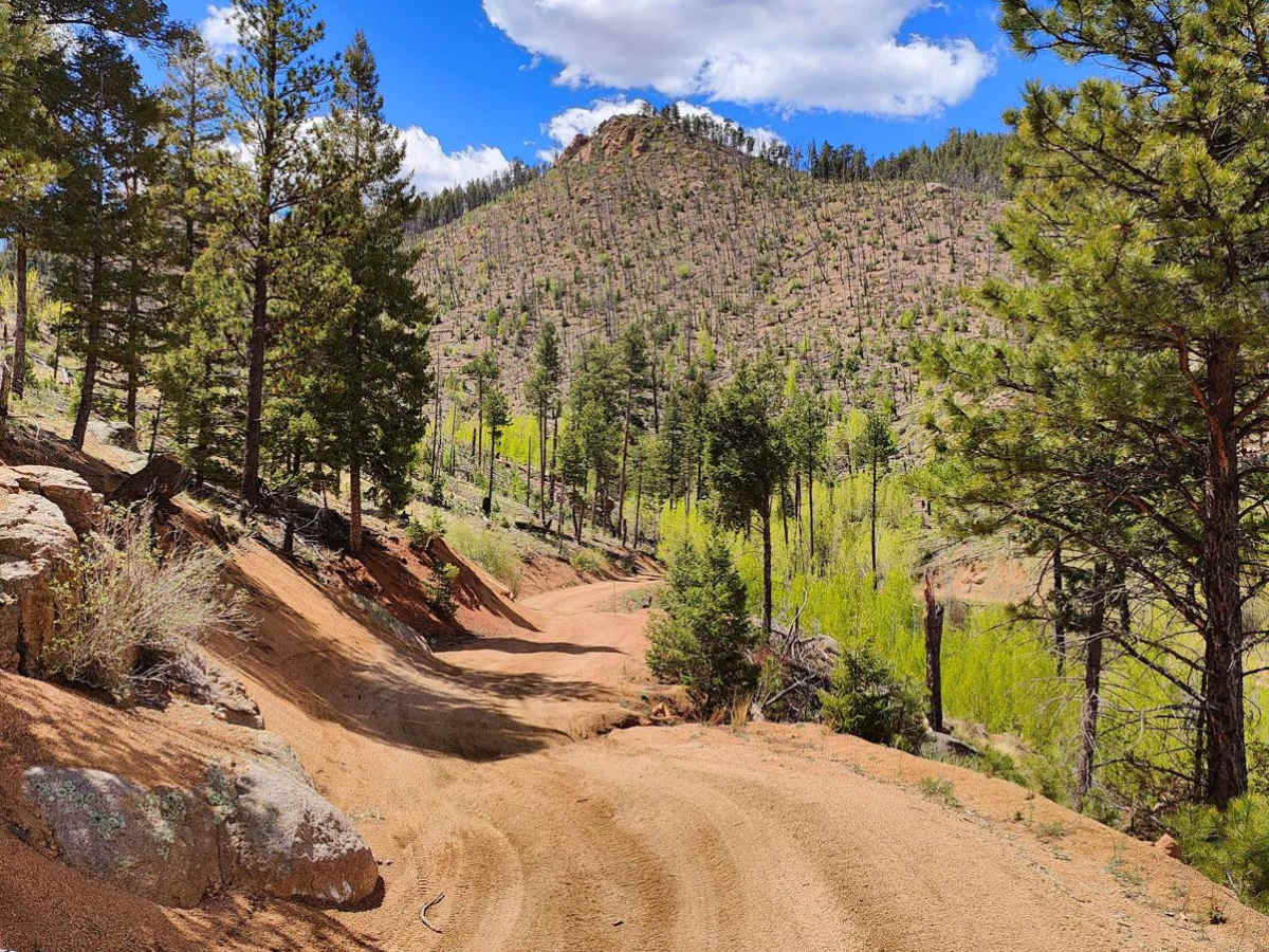 Cedar Mountain Road - Teller County Road 51 photo 3