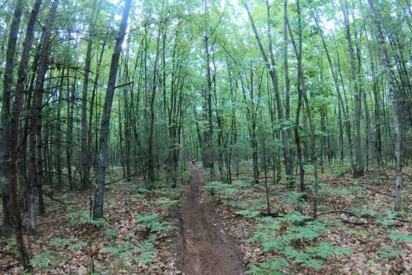 Lincoln Hills Single Track