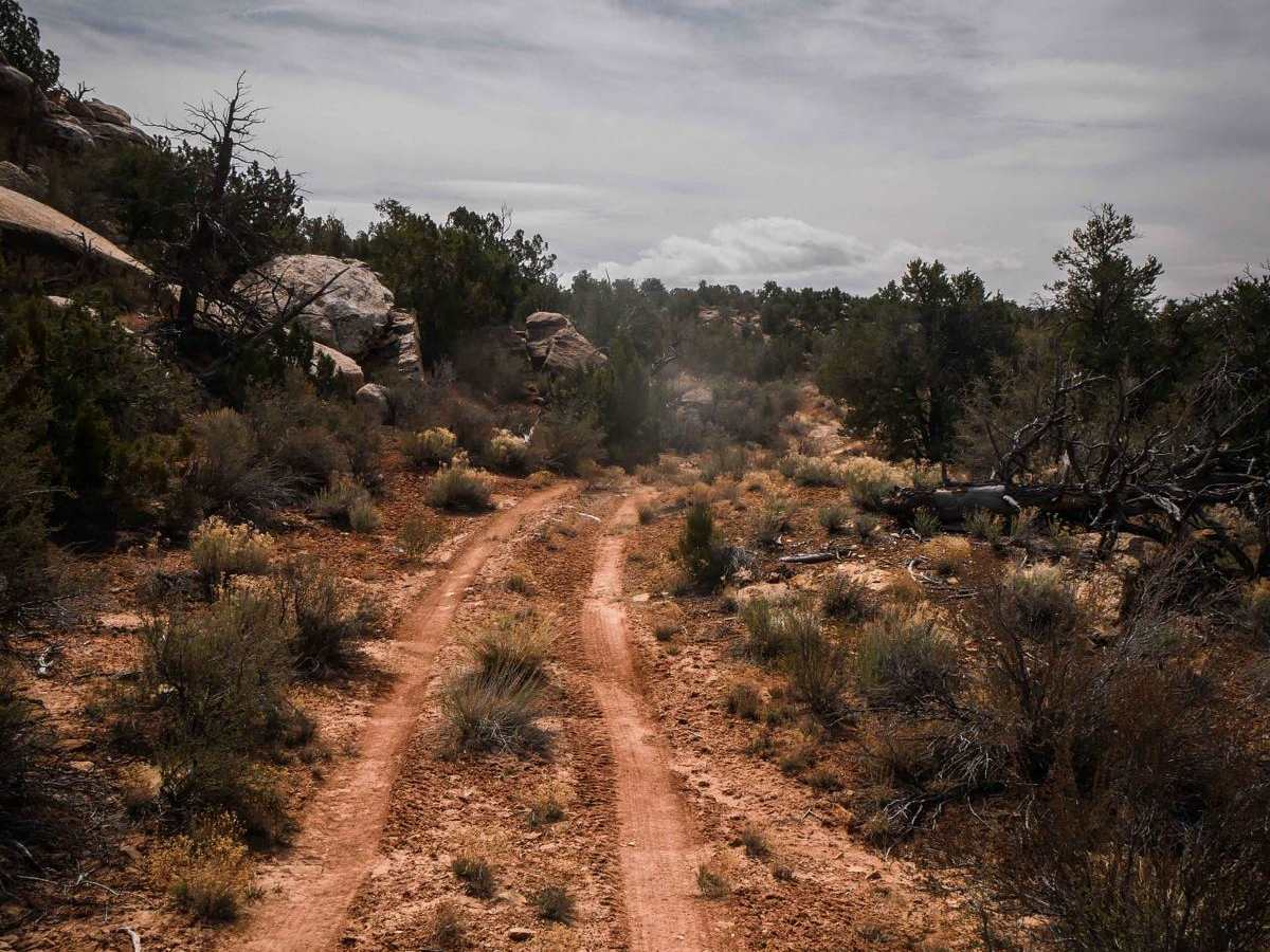 Dead End Spur photo 4