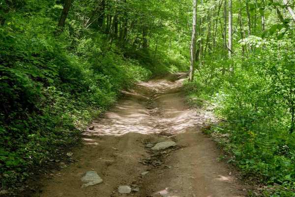 Trail 17