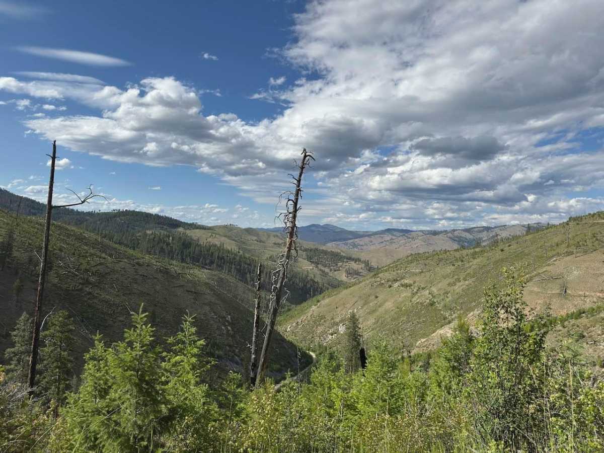 Warm Springs Laird trail photo