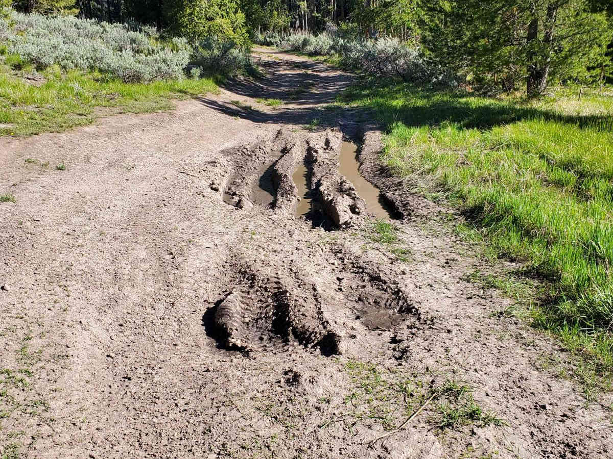 Rabbit Foot Mine Trail photo 4