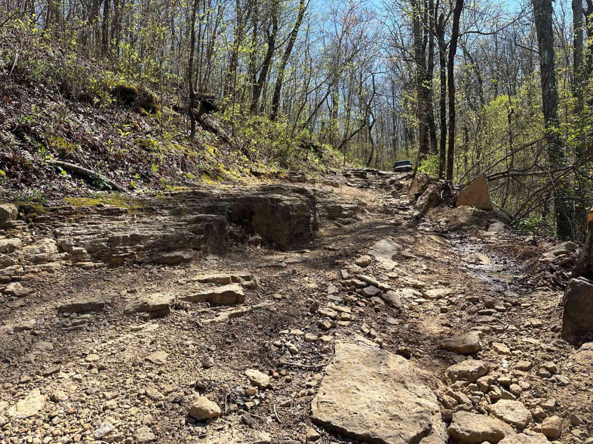 Eureka Springs Hollow 95472B photo 4