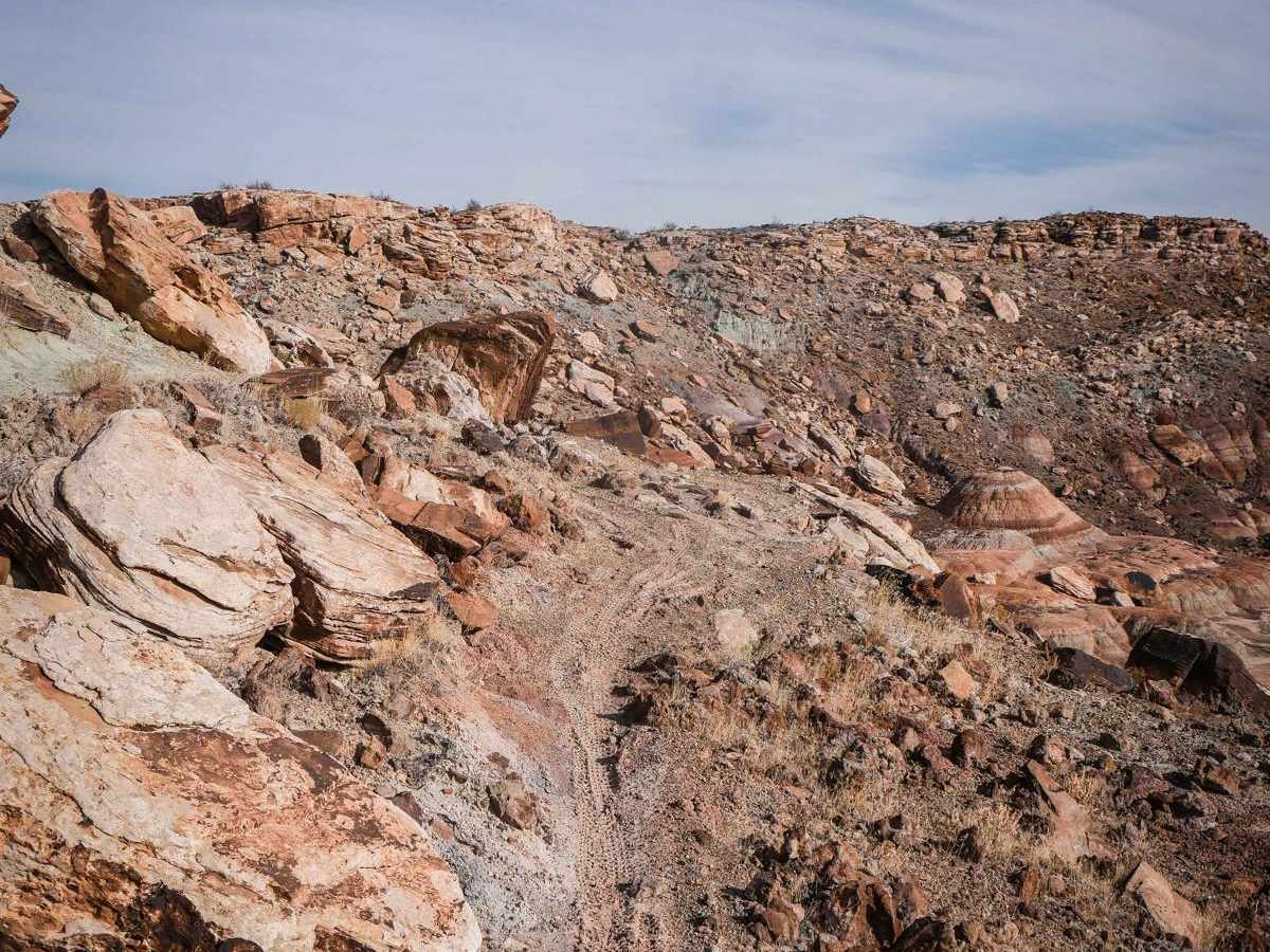 Brushy Basin photo 3