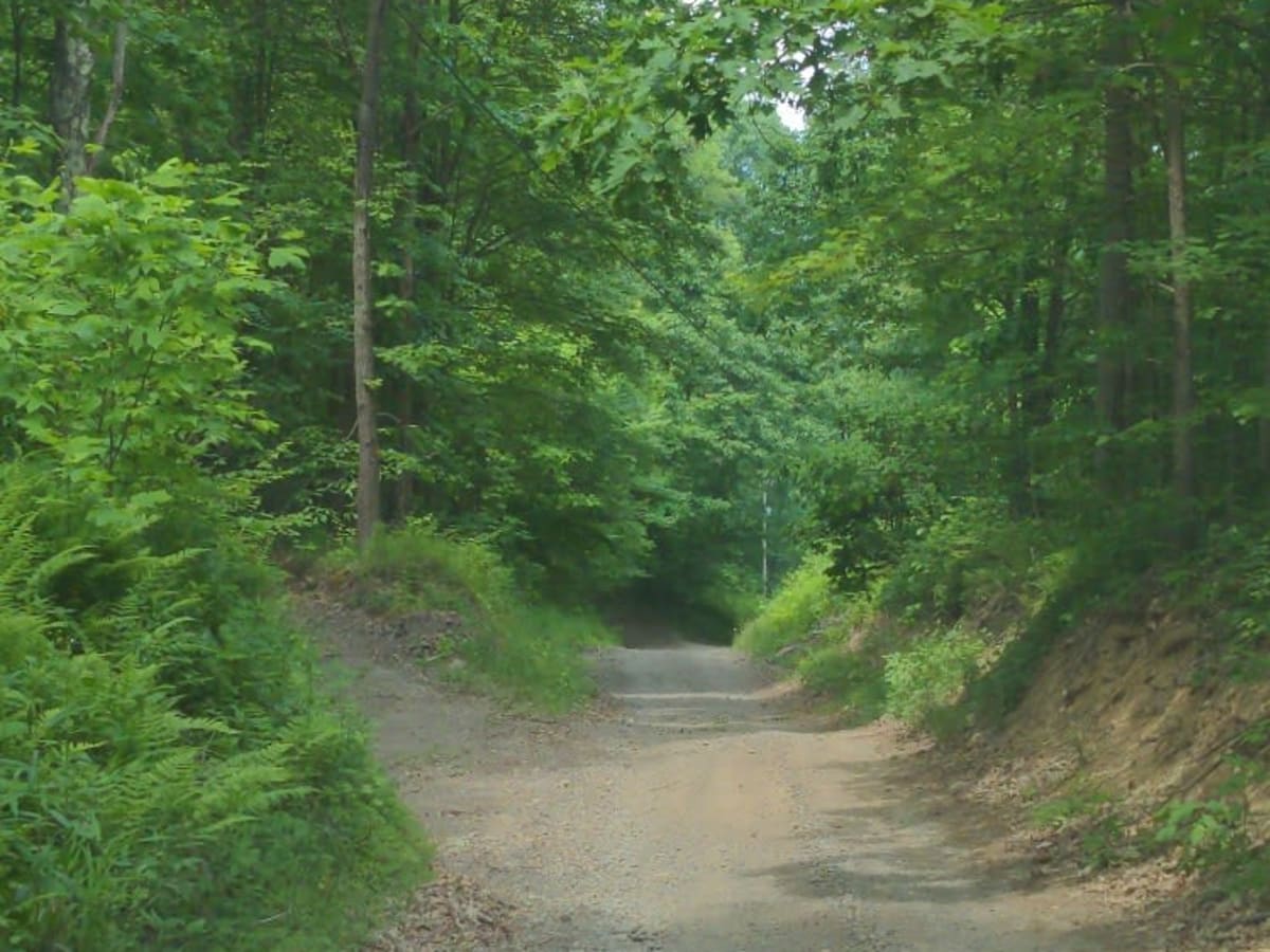 Brown Road trail photo