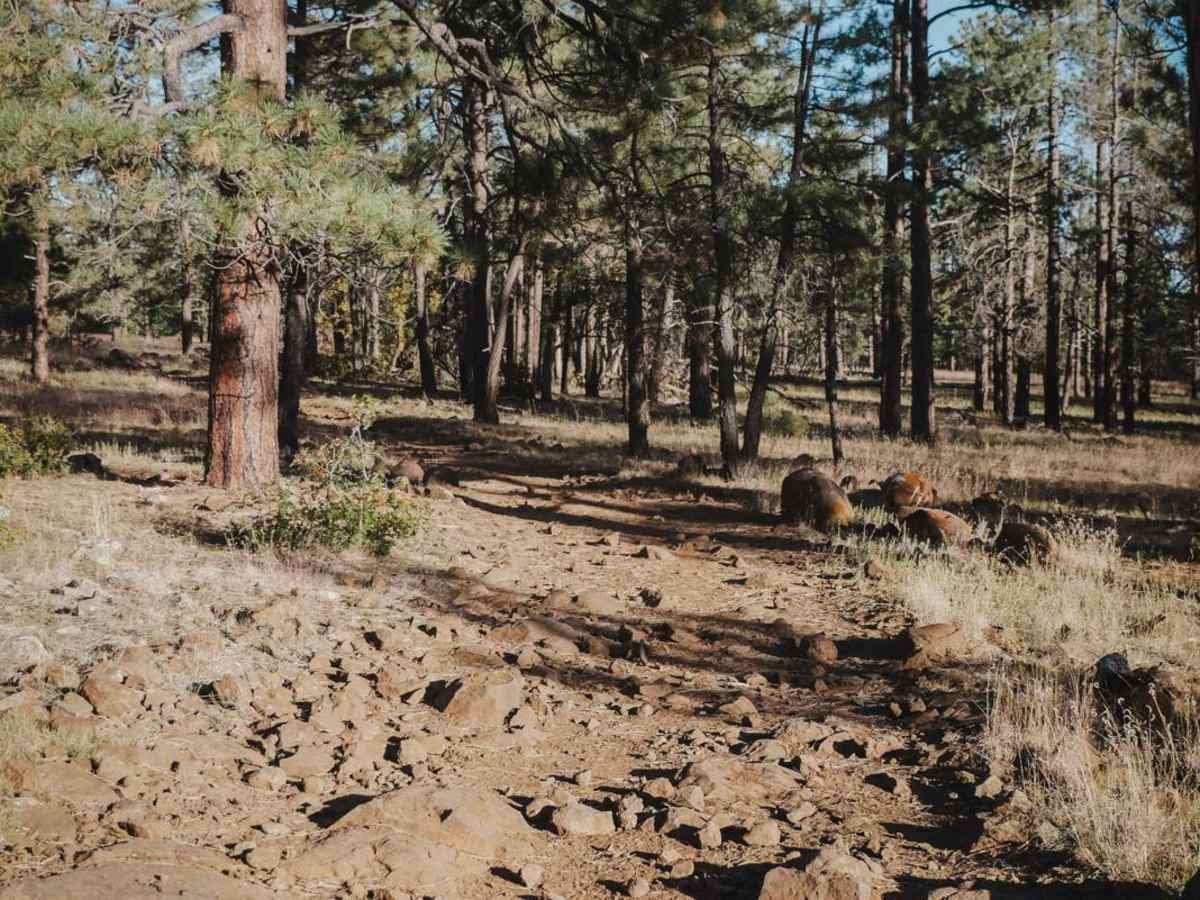 Iron Springs Connector photo 4
