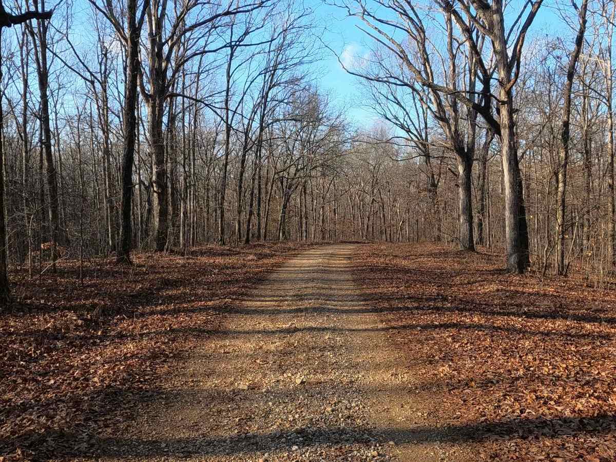 Old Silver Trail - FS 320 photo 3