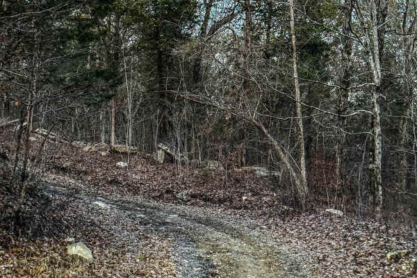 Poplar Springs Trail