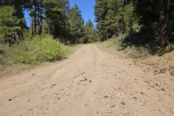 Morris Canyon - NF 629