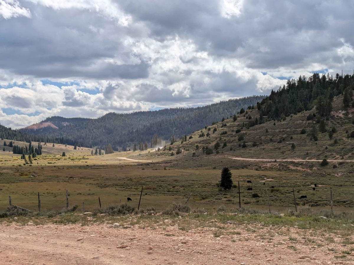 The Great Western Trail North photo 6