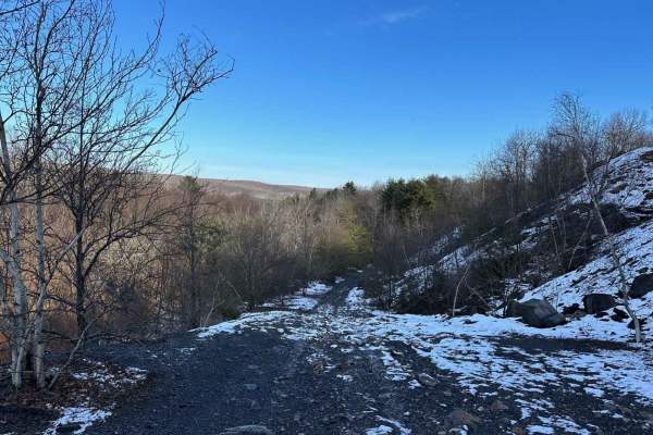 Locust Gap 35