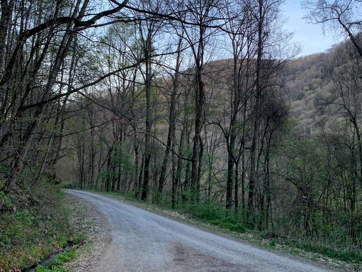 Upper Santeetlah - 81 photo 6