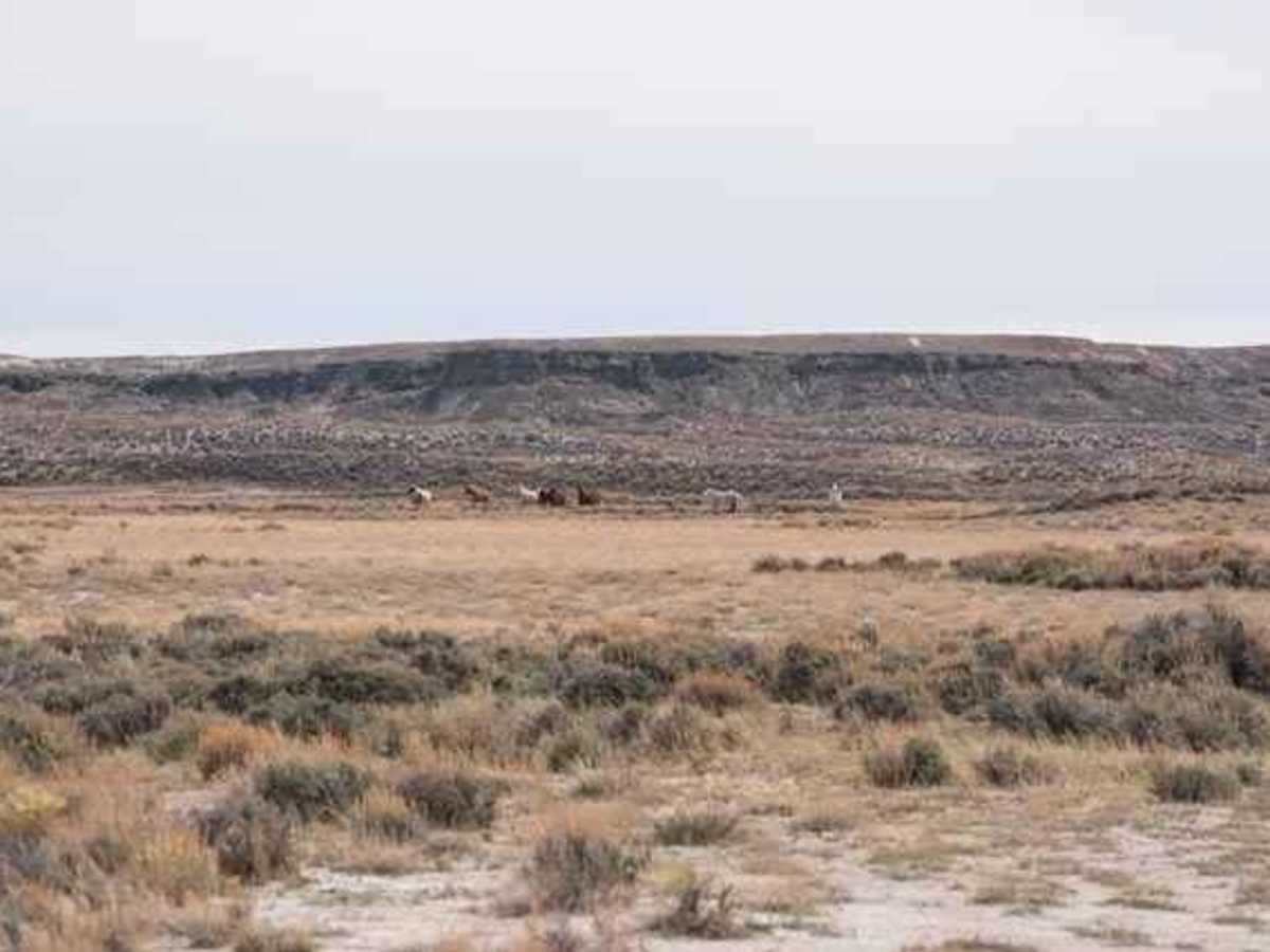 Adobe Town North Rim photo 3