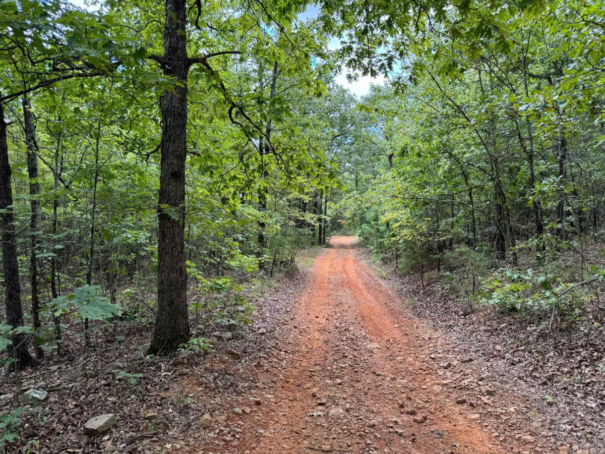 1612B trail photo