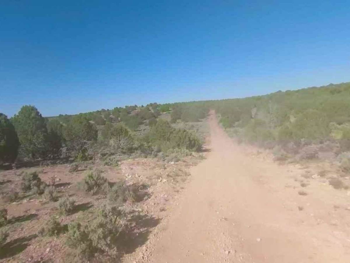 Pigeon Canyon Road-BLM1002 photo 5