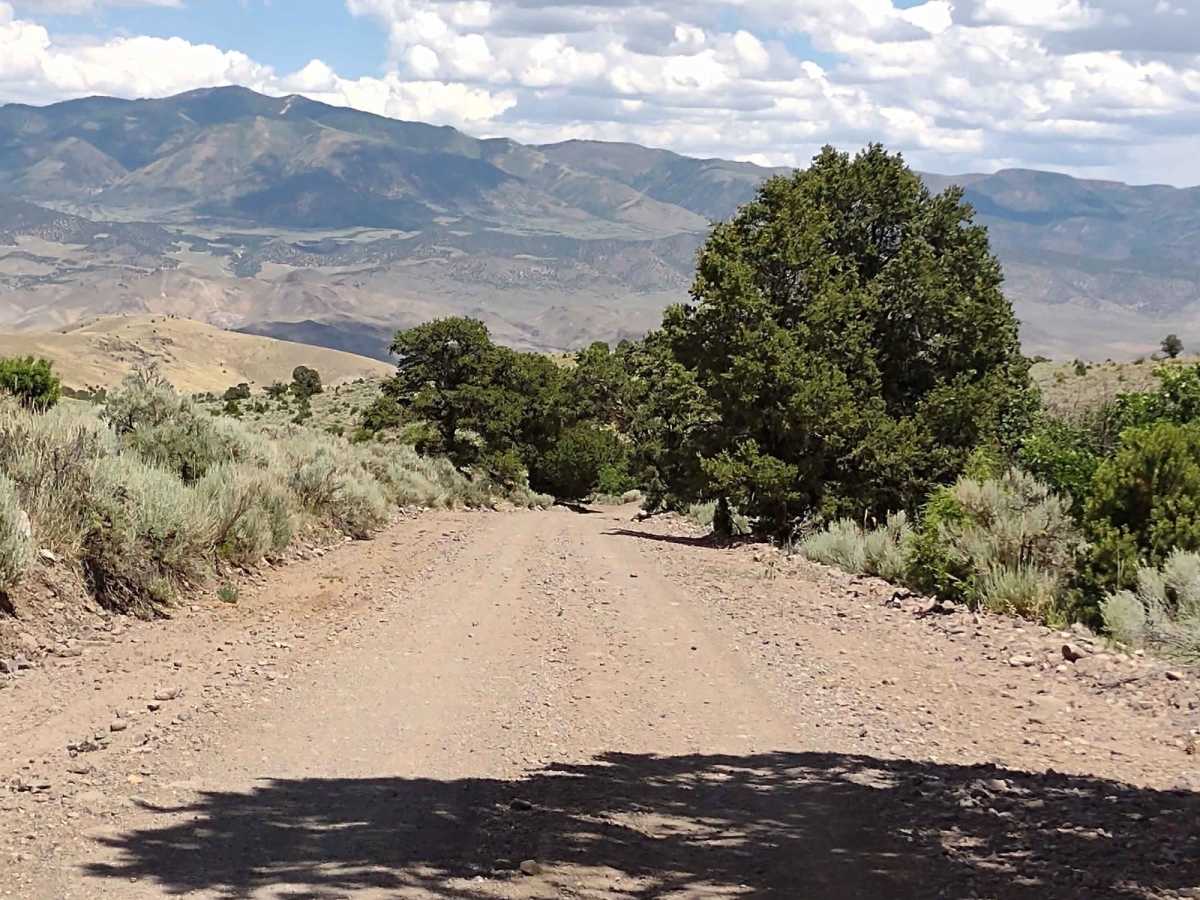 Revenue Gulch (FS 40577, BLM 210) trail photo
