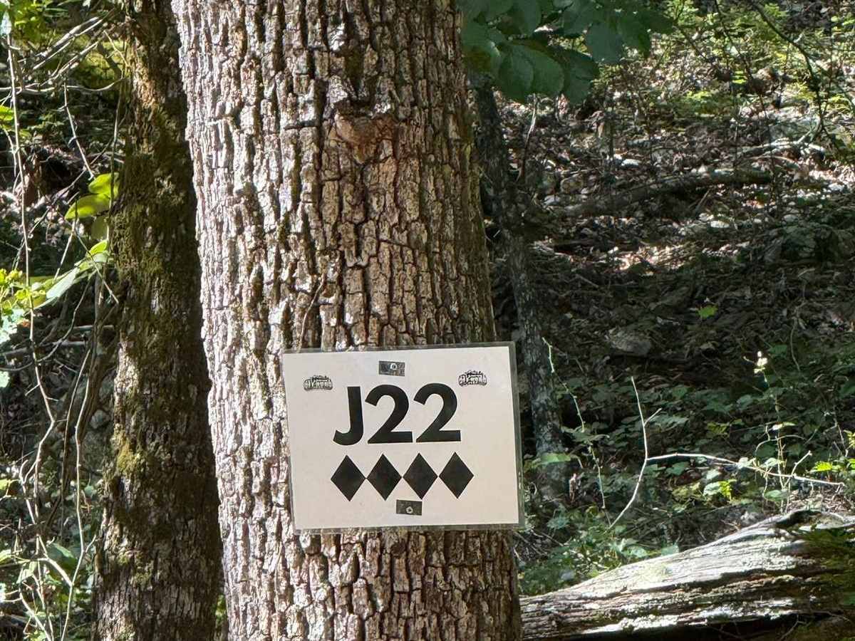 J22 trail photo