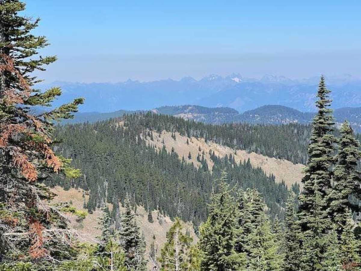 Quartz Mountain photo 5