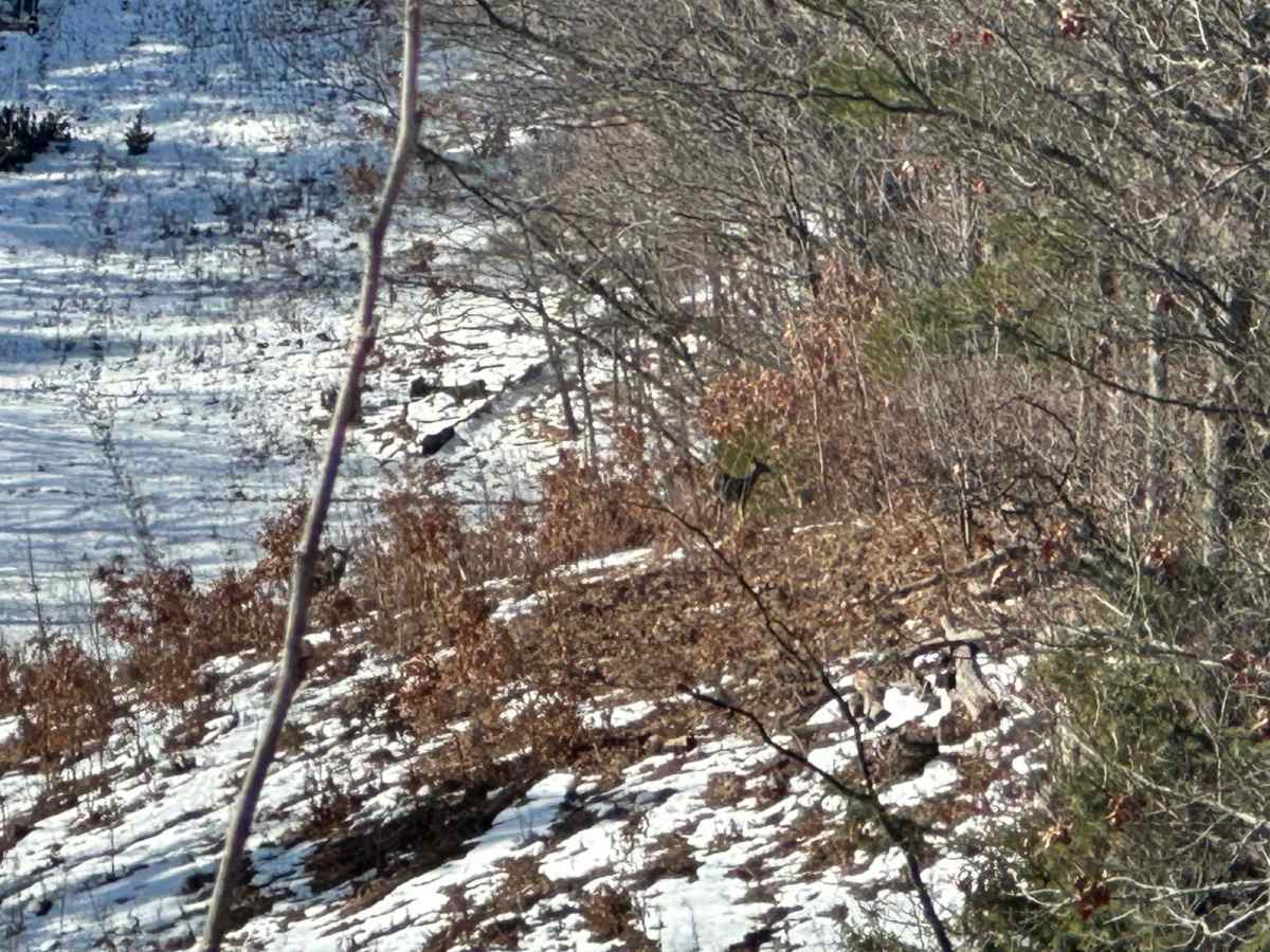 West Miller Hill Road photo 4