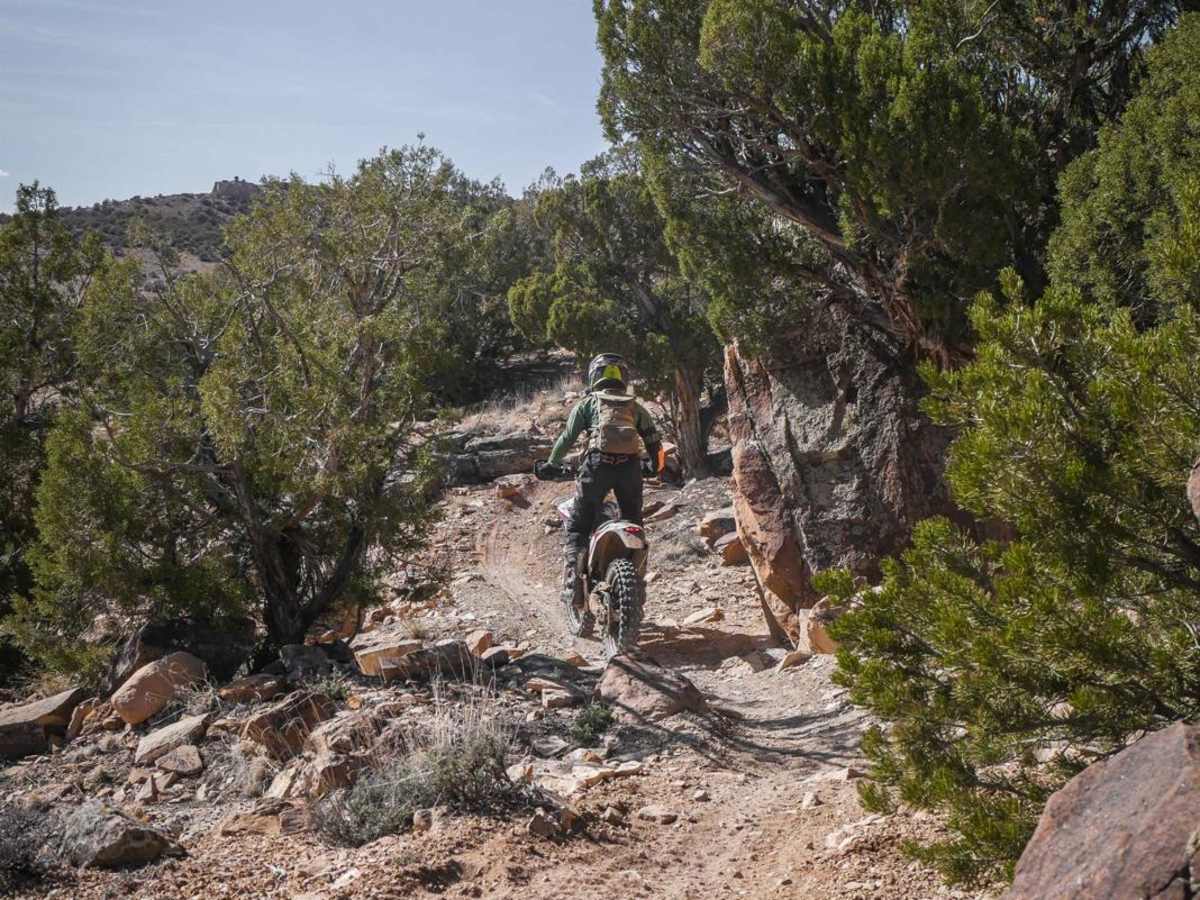 Coyote Cutoff photo 4
