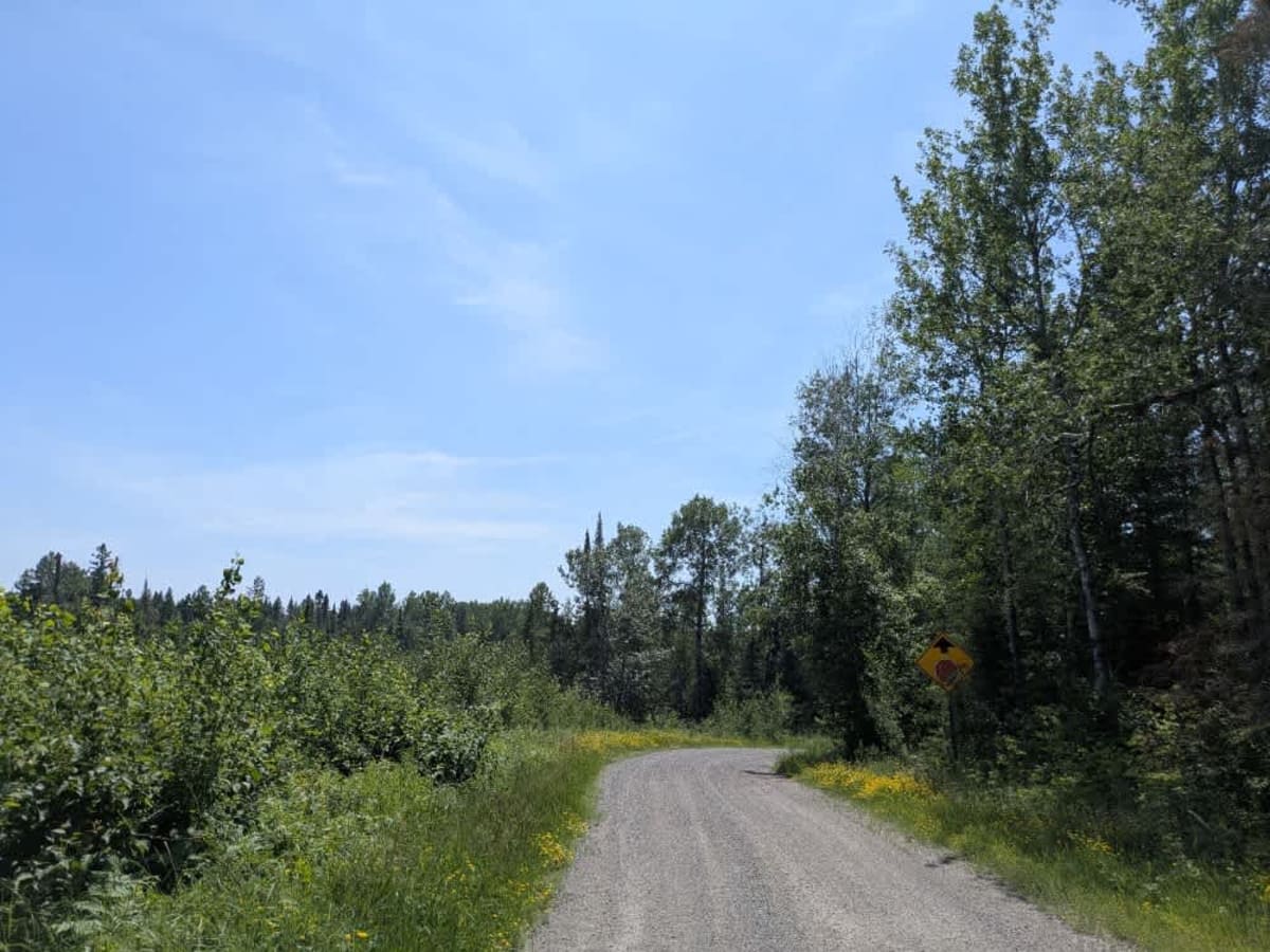 Markham Road trail photo