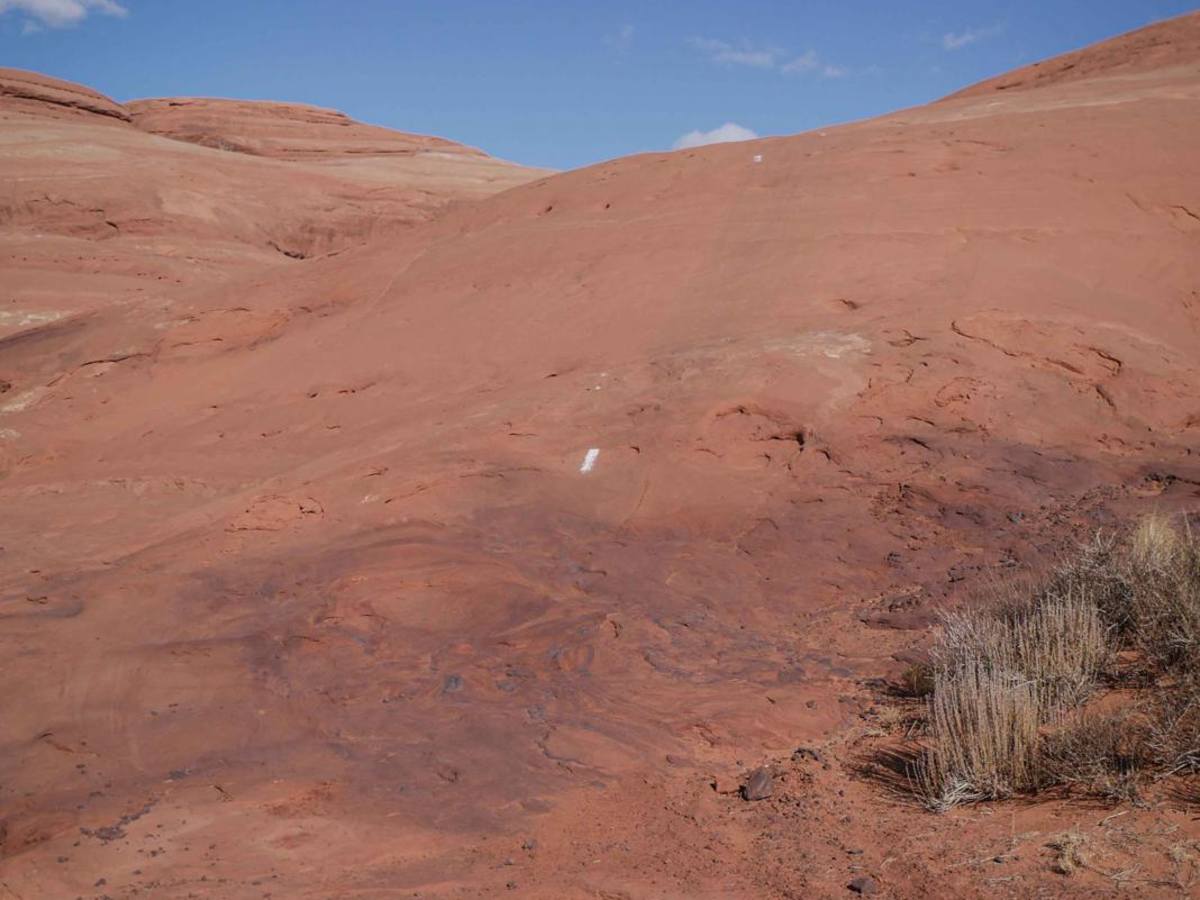 Red Butte Trail photo 3
