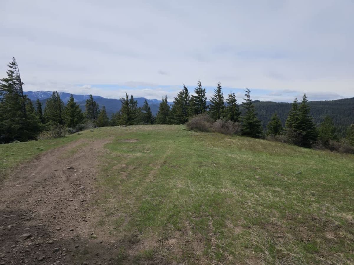 Lower South Cle Elum Ridge photo 4