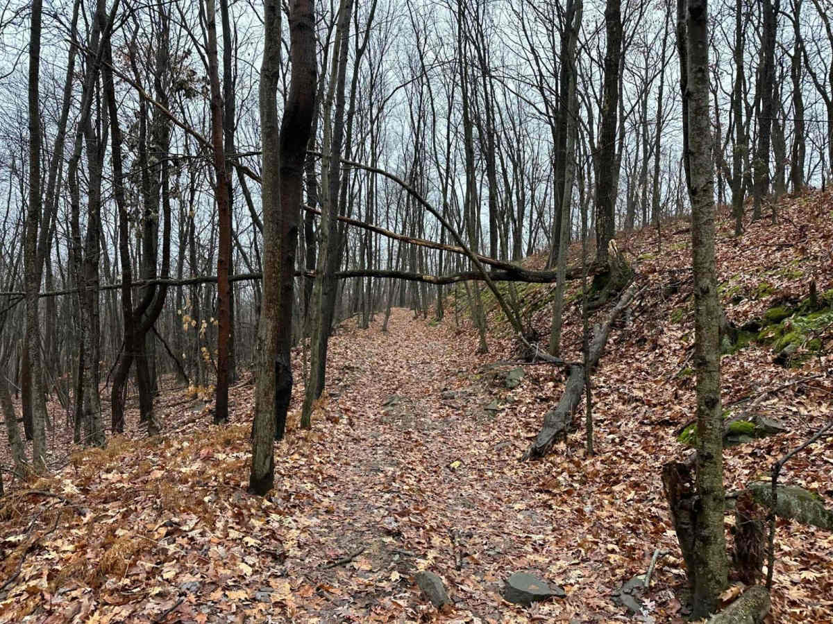 ATV Trail 13 trail photo