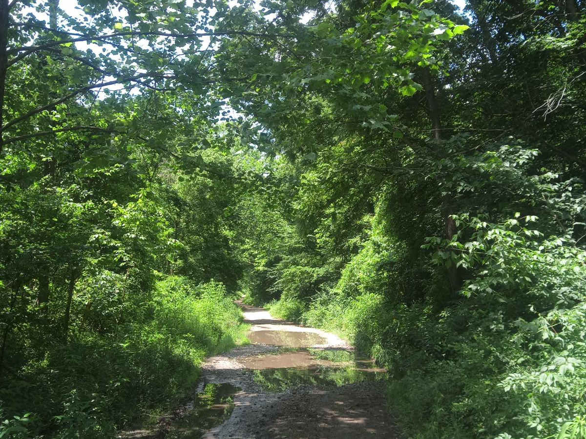Spencer hollow photo 5