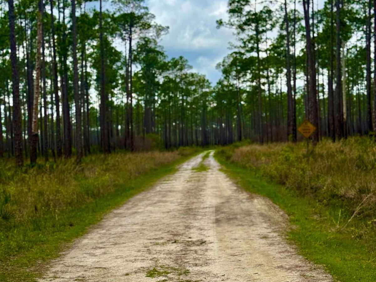 FS-100 trail photo