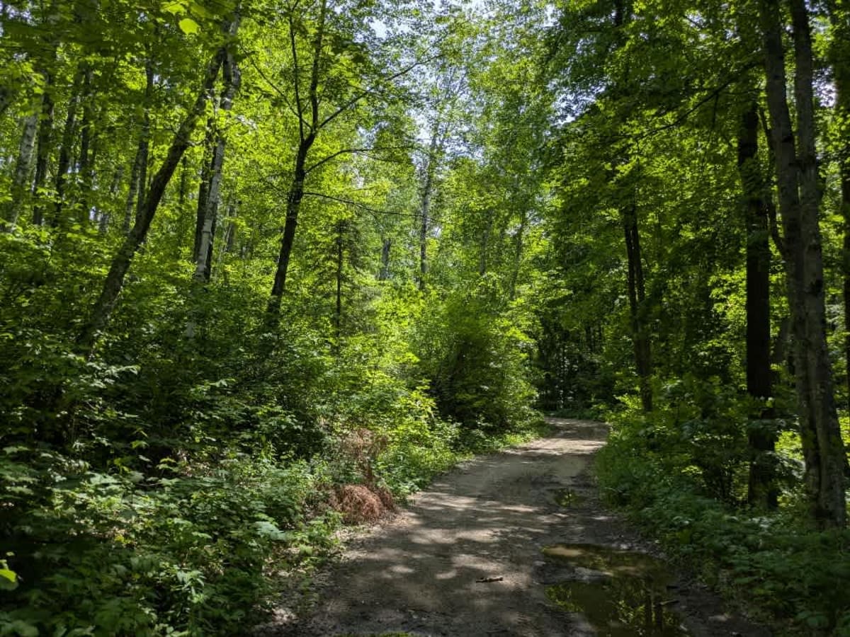 Crooked Lake Road trail photo